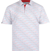 Men's Carlson Polo